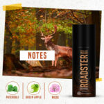 3_ef75adf1-83d4-4e76-81de-464ac683976b_765x